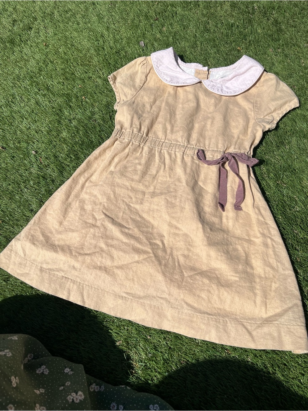 Classic Cream Peter Pan Collar Kids Dress with Bow Boutique Olive Juice 3T